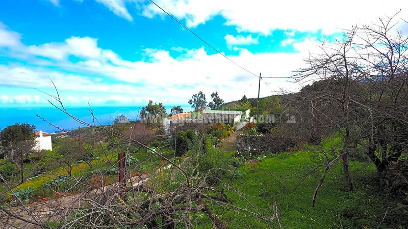 Foto c88337a2-182c-4664-b95b-a2f33e1d3eb2. Bauernhof in La Vega - El Amparo - Cueva del Viento Icod de los Vinos