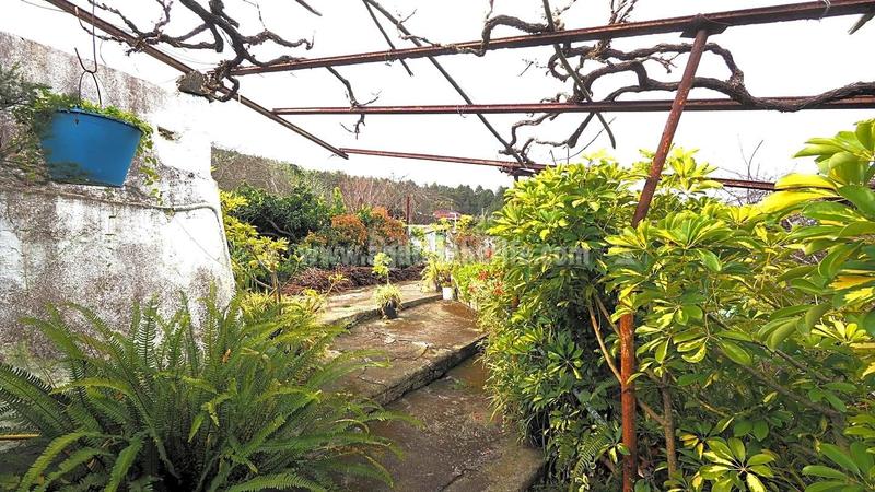 Foto 32a09811-7e4d-4e4a-9032-226ba19e1d57. Casale in La Vega - El Amparo - Cueva del Viento Icod de los Vinos