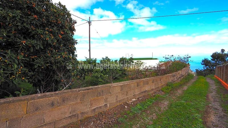 Foto c4d46834-f1ce-4978-9cef-9a9d187e26a8. Casale in La Vega - El Amparo - Cueva del Viento Icod de los Vinos