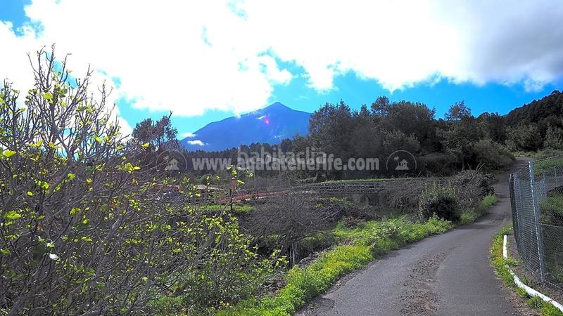 Foto f4ad8a4e-65eb-443e-8024-1f6e02d37a14. Casale in La Vega - El Amparo - Cueva del Viento Icod de los Vinos