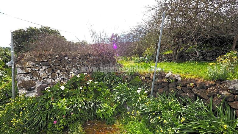 Foto 3ca7fd9d-3288-48ef-b37d-e260e7a5197a. Country house in La Vega - El Amparo - Cueva del Viento Icod de los Vinos