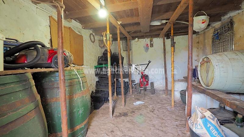 Foto a0d1fa80-22ac-4f04-88cc-3093ba34456a. Country house in La Vega - El Amparo - Cueva del Viento Icod de los Vinos