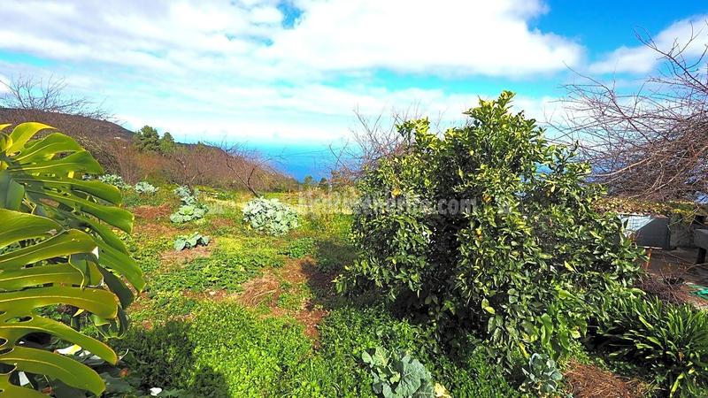 Foto e3c35b90-176b-43de-95ef-4ff80a2e4abc. Country house in La Vega - El Amparo - Cueva del Viento Icod de los Vinos
