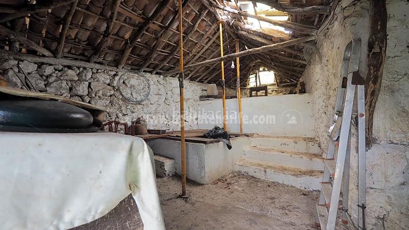 Foto 241d87bf-9acd-4fb1-9d99-c4b1b746fa3c. Mas dans La Vega - El Amparo - Cueva del Viento Icod de los Vinos