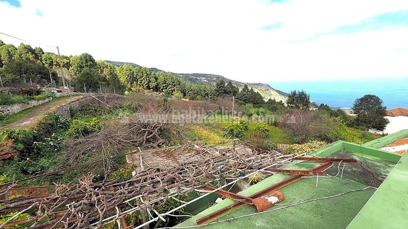 Foto 29fd2e67-709b-448f-8fdf-b2fc9049fa6d. Mas dans La Vega - El Amparo - Cueva del Viento Icod de los Vinos