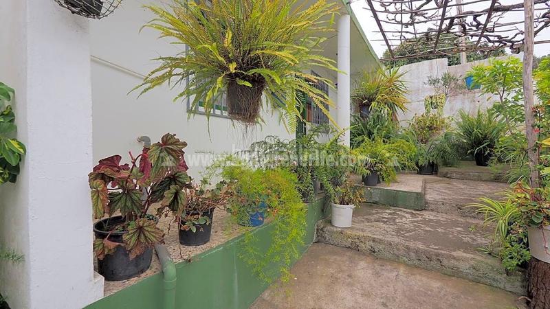 Foto 35dee2a9-d131-4672-8c53-ad1a22c2d4d2. Mas dans La Vega - El Amparo - Cueva del Viento Icod de los Vinos