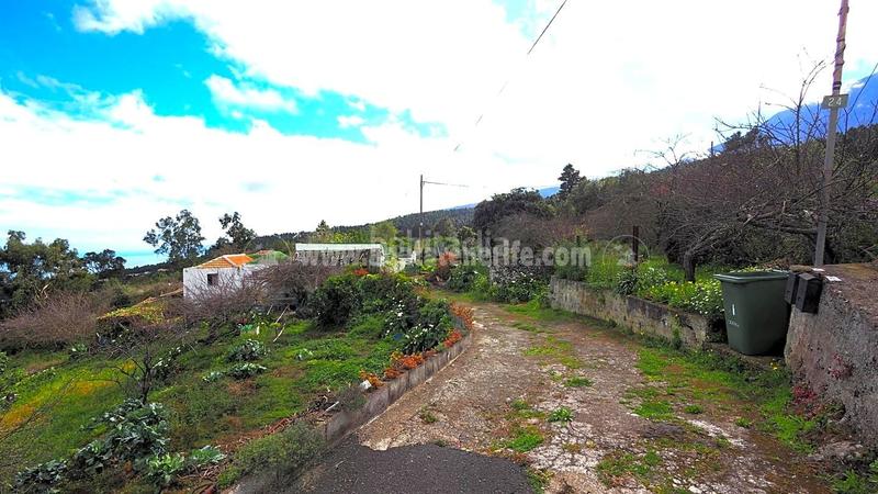 Foto c6473284-9e00-496b-a656-0b4aae527ac0. Mas dans La Vega - El Amparo - Cueva del Viento Icod de los Vinos