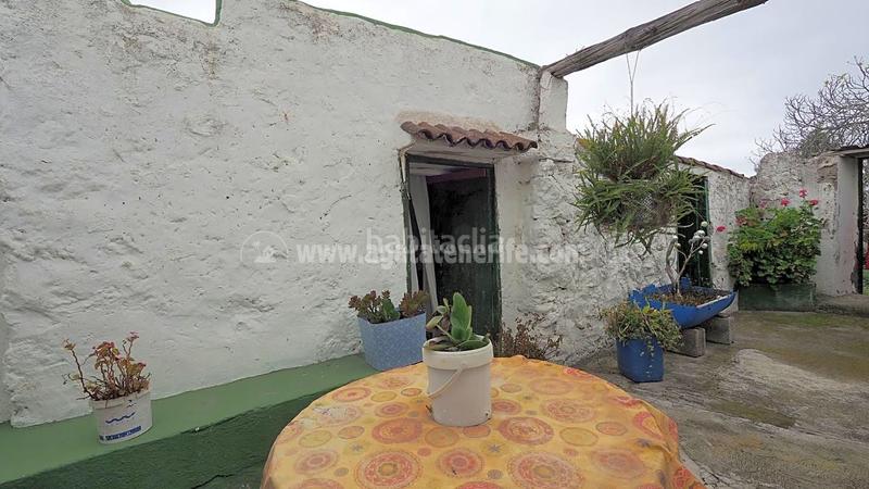 Foto 4f654275-dd5a-46ae-8f54-83156b99a191. Masía en La Vega - El Amparo - Cueva del Viento Icod de los Vinos