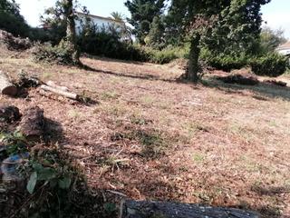 Residential Plot in Rúa sofía casanova 5