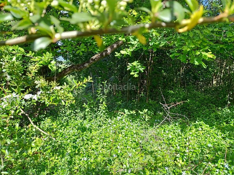 Foto a863dc45-45aa-4fde-95b7-c0cd579ee087. Terreno residencial en ametzabide kalea 64 parcela en venta en la bilbaina. en Mungia