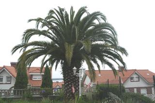 Chalet  Urbanización montesolmar