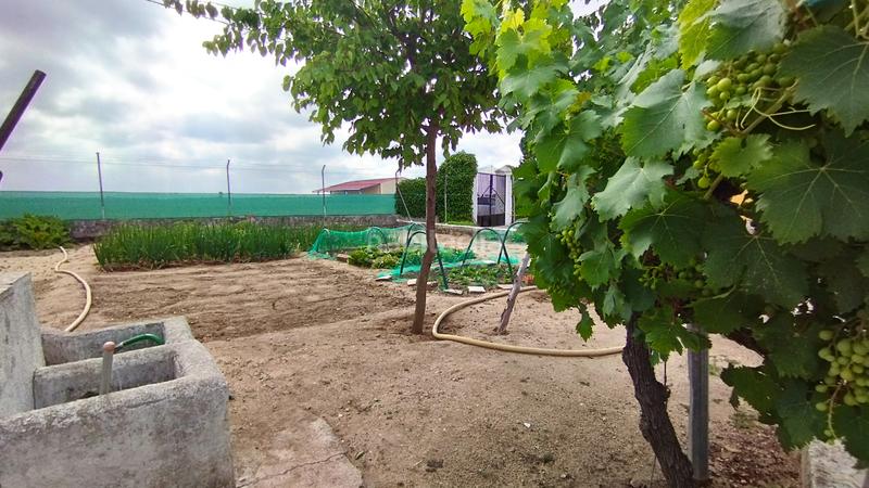 Foto 8cdbd1c0-e9f2-4285-83b4-532c9396a56f. Xalet a calle valentín arévalo ayllón 20 a Matapozuelos