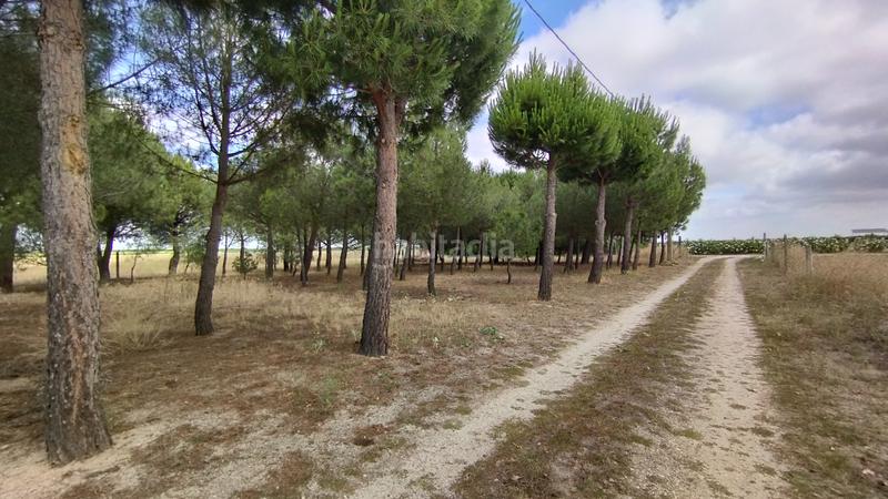 Foto f850f9d3-1abd-48eb-993b-a05891002765. Xalet a calle valentín arévalo ayllón 20 a Matapozuelos