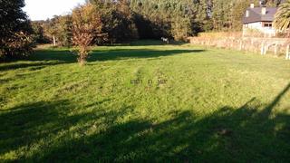 Residential Plot in Tui
