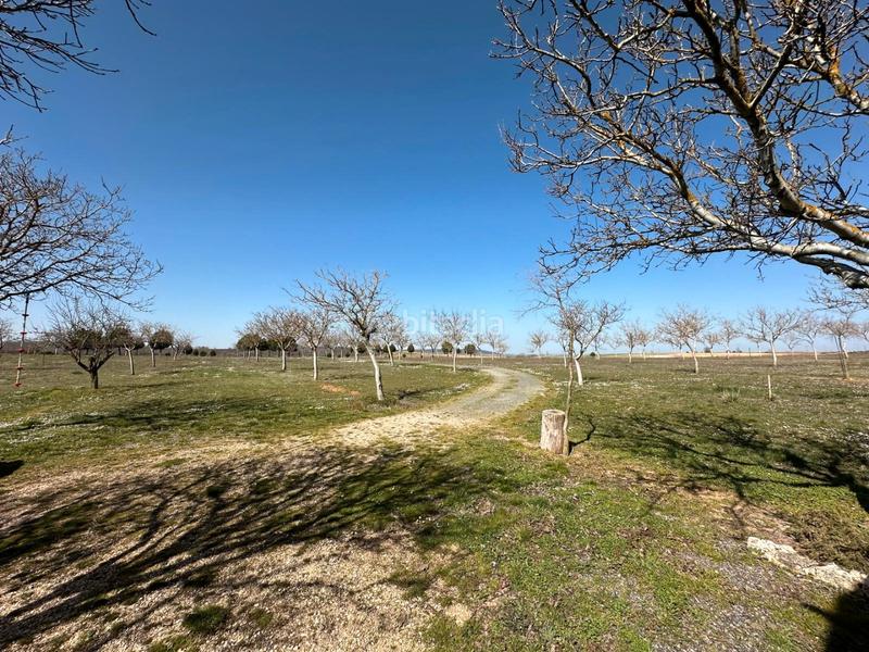 Foto 00ee0ca1-c6fa-4fea-89f2-c15f27c1bb05. House with fireplace in Arlanzón
