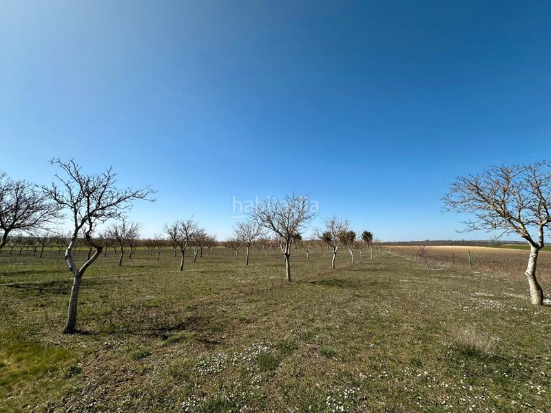Foto 05fef65c-5646-4a1e-bc92-eb4187807b0b. House with fireplace in Arlanzón