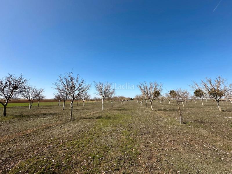 Foto 3a913889-1338-4814-a828-db480e78767f. House with fireplace in Arlanzón