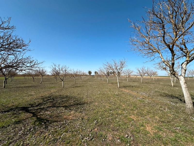 Foto 6aa4a04d-974c-43af-aeeb-618d251d347a. House with fireplace in Arlanzón