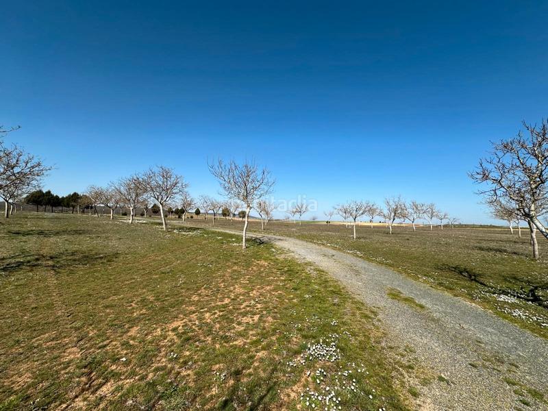 Foto b1641329-2d1c-4ca5-996a-f1cd7217654d. House with fireplace in Arlanzón