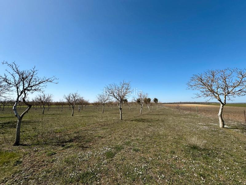 Foto b799437d-d8e4-4f91-91cc-d711063cae54. House with fireplace in Arlanzón