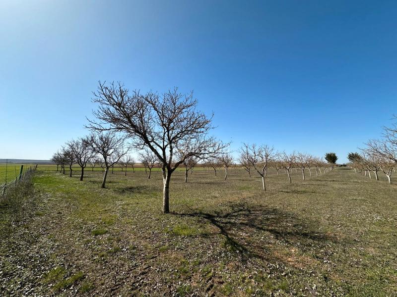 Foto c91370ec-6ffd-4862-a10c-dededaf3ea54. House with fireplace in Arlanzón