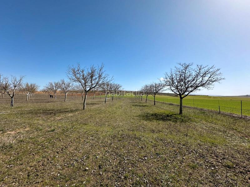 Foto d6a74c0a-8065-4d68-a876-4a1ac8384581. House with fireplace in Arlanzón