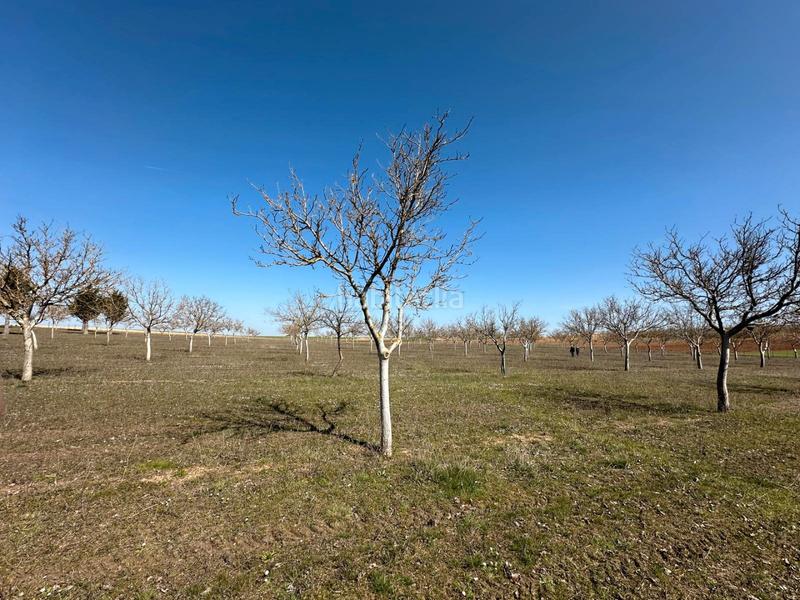 Foto d943a6ee-15b6-4726-8066-0022e894a90a. House with fireplace in Arlanzón