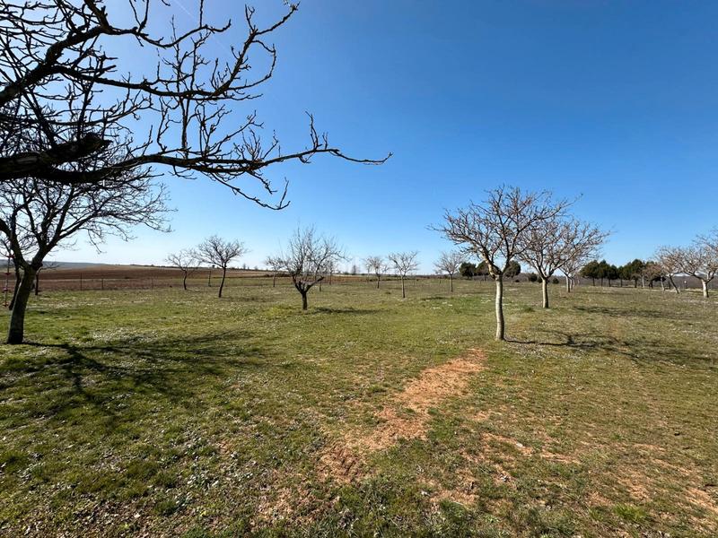 Foto dd51c8fb-afc7-4364-b3c7-b244507af4d4. House with fireplace in Arlanzón