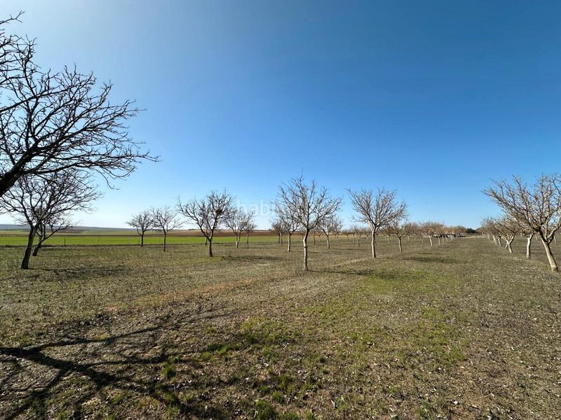 Foto ea3e0c0d-aa28-4ab7-8895-beb2bc835dea. House with fireplace in Arlanzón