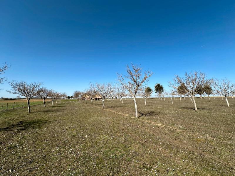 Foto ead3a754-91b4-4931-9e75-2d3a78f7d65d. House with fireplace in Arlanzón