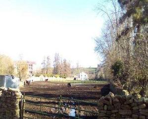 Residential Plot  Calle pumarejo
