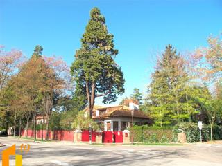 Chalet  Avenida monasterio de las huelgas. Exclusiva vivienda en la castellana.