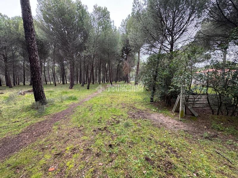 Foto 127ea88b-e289-44df-91ba-84a8e0977b57. Finca rústica a Traspinedo