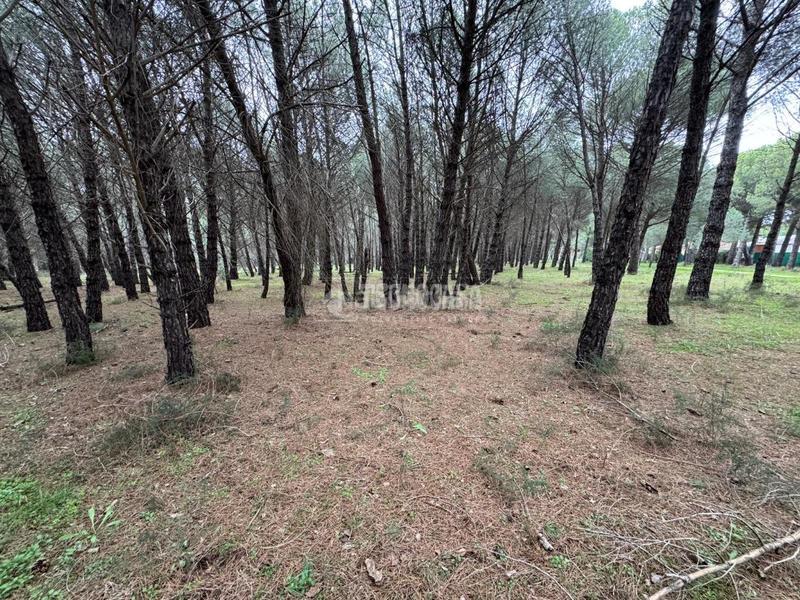 Foto 3c069a53-b767-4205-9423-fc46d77a46d8. Finca rústica a Traspinedo