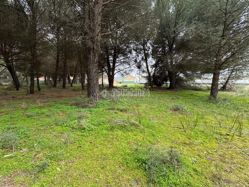 Foto 4b44aa28-f968-4966-9229-10f9f7e16e82. Finca rústica a Traspinedo