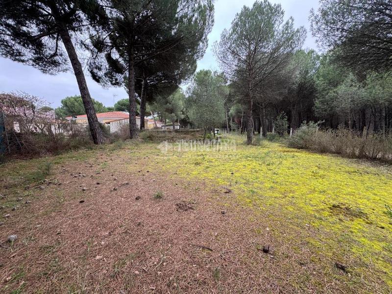 Foto 5b5e789b-63a9-4ac8-813d-6135a563d2db. Finca rústica a Traspinedo