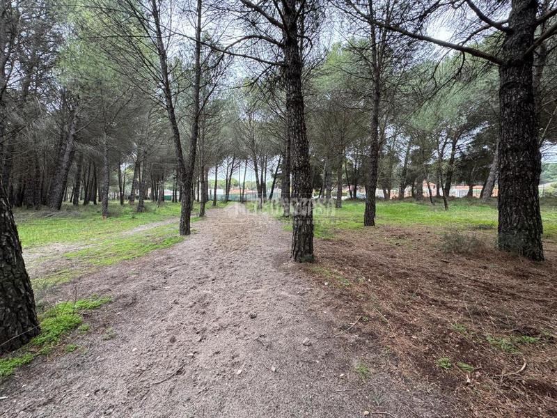 Foto 8c885aa9-62a2-436c-a808-d431964a4407. Finca rústica a Traspinedo