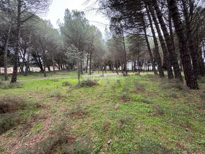 Foto 9aa5130d-fcd5-47e9-b35b-1a6b190dabb7. Finca rústica a Traspinedo