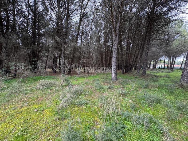 Foto cb28a796-996f-4d87-b2b9-7b1428813162. Finca rústica a Traspinedo