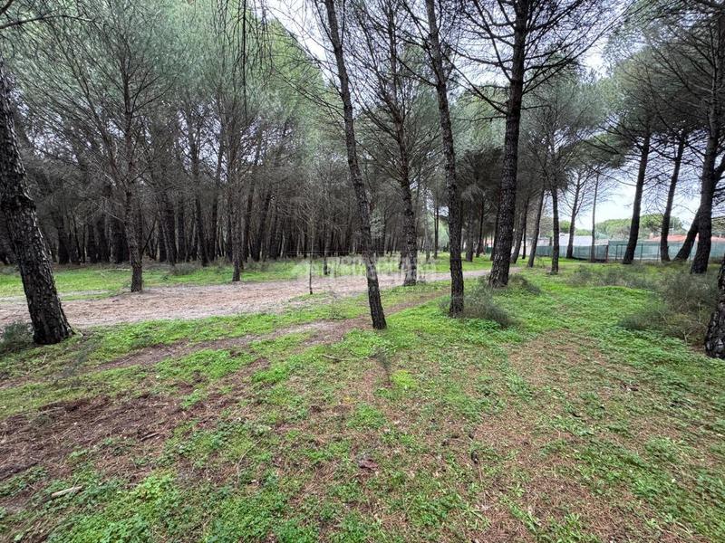 Foto d6df6251-2394-4cfd-b0ad-316fae9174f0. Finca rústica a Traspinedo