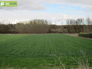 Masia a Zona Rural. Terreno rustico
