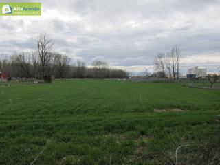 Masia a Allendeduero. Terreno rustico