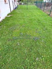 Towny house  Barrio otañes