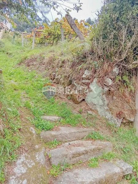 Foto f064148c-6844-403a-bd05-a8ff1267385b. Terreny residencial a Comesaña - Matamá Vigo