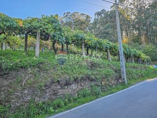Residential Plot in Comesaña - Matamá