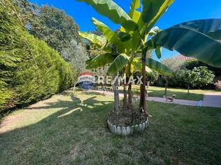 Chalet  Piñeiro 1. Muy cerca del centro de gondomar..como nuevo impecable estado..v