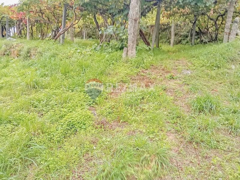Foto 72adb351-048b-4993-bc35-258c831f0199. Terreno residenziale in Valadares - Beade Vigo
