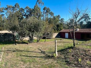 Terreny residencial  Sequiña. A tan solo 5 km de ramallosa