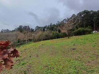 Wohngrundstück in Cañiza (A)