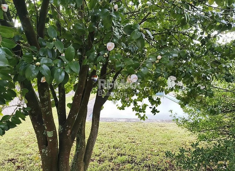 Foto 30a95649-31ed-4209-aac4-2e5f322bf04b. Casa amb calefacció aparcament piscina a Tui